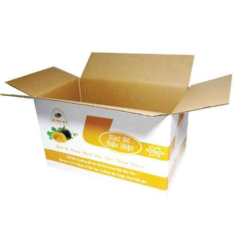 Thùng carton in offset 44.5x27x27cm tại TPHCM